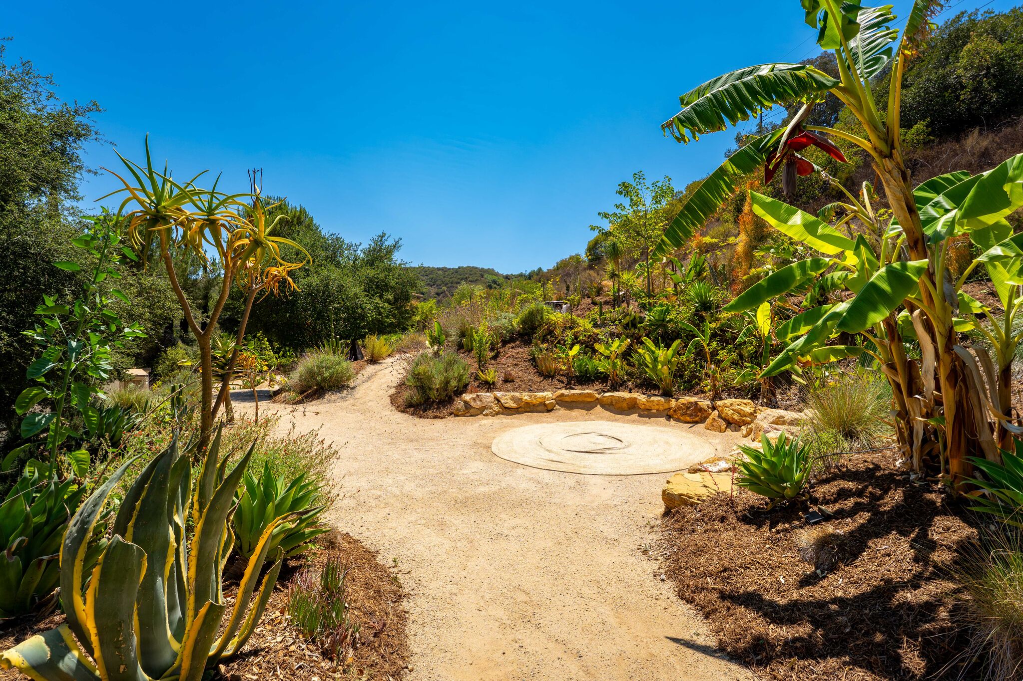 Boulder amphitheater clearing ringed by banana plants, aloe, and agave on the hillside paths
