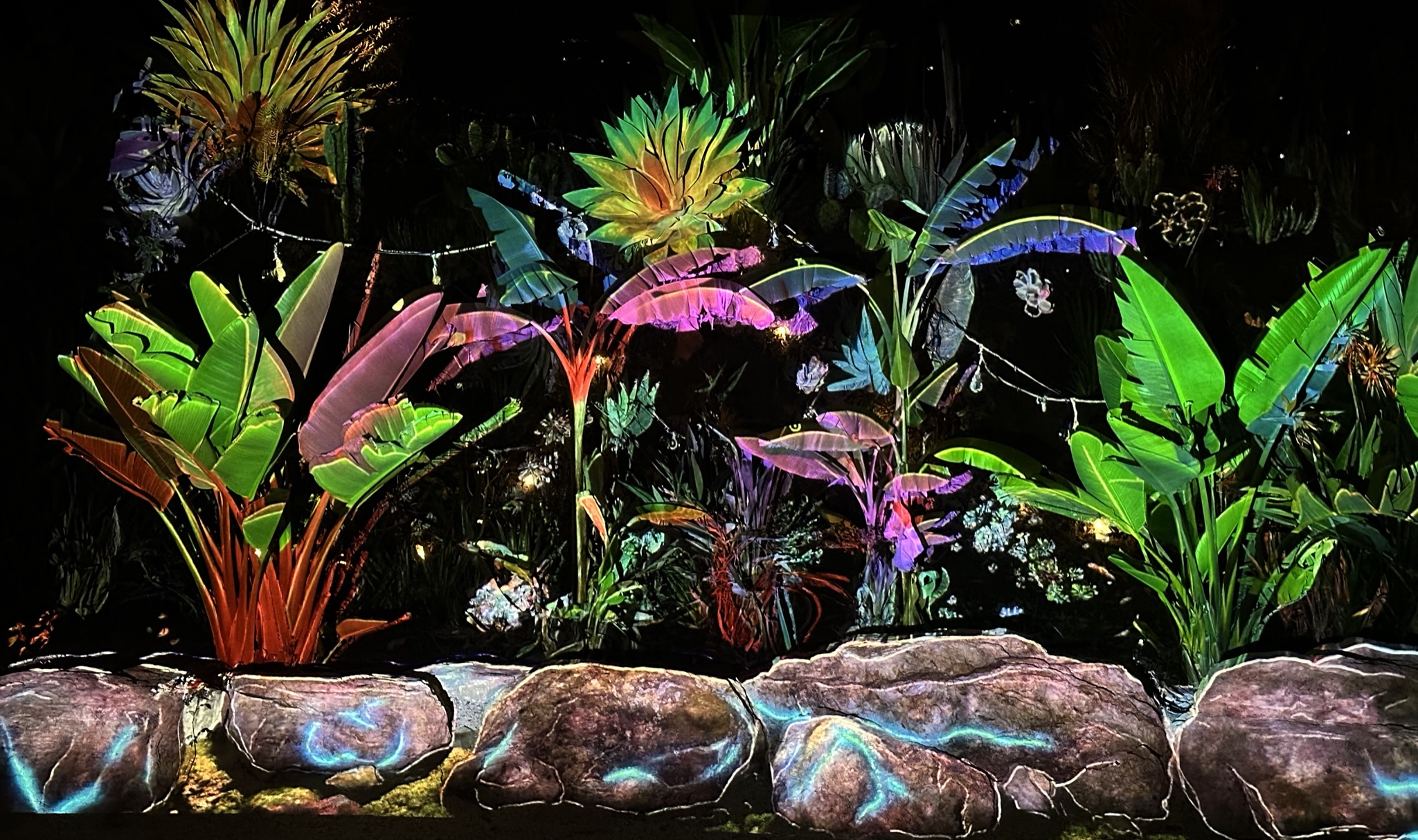 Projection-mapped garden bed: banana leaves and boulders painted in electric color at night