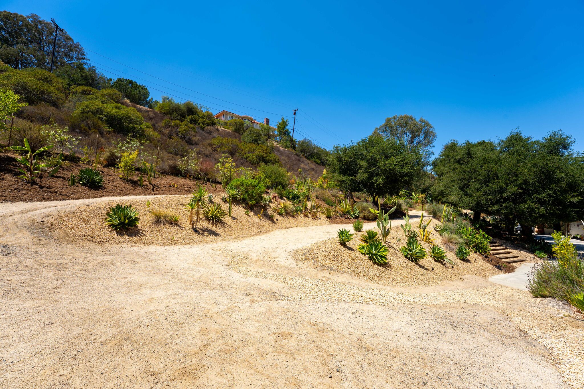 Wandering decomposed-granite paths curving through young agave and aloe plantings on the hillside