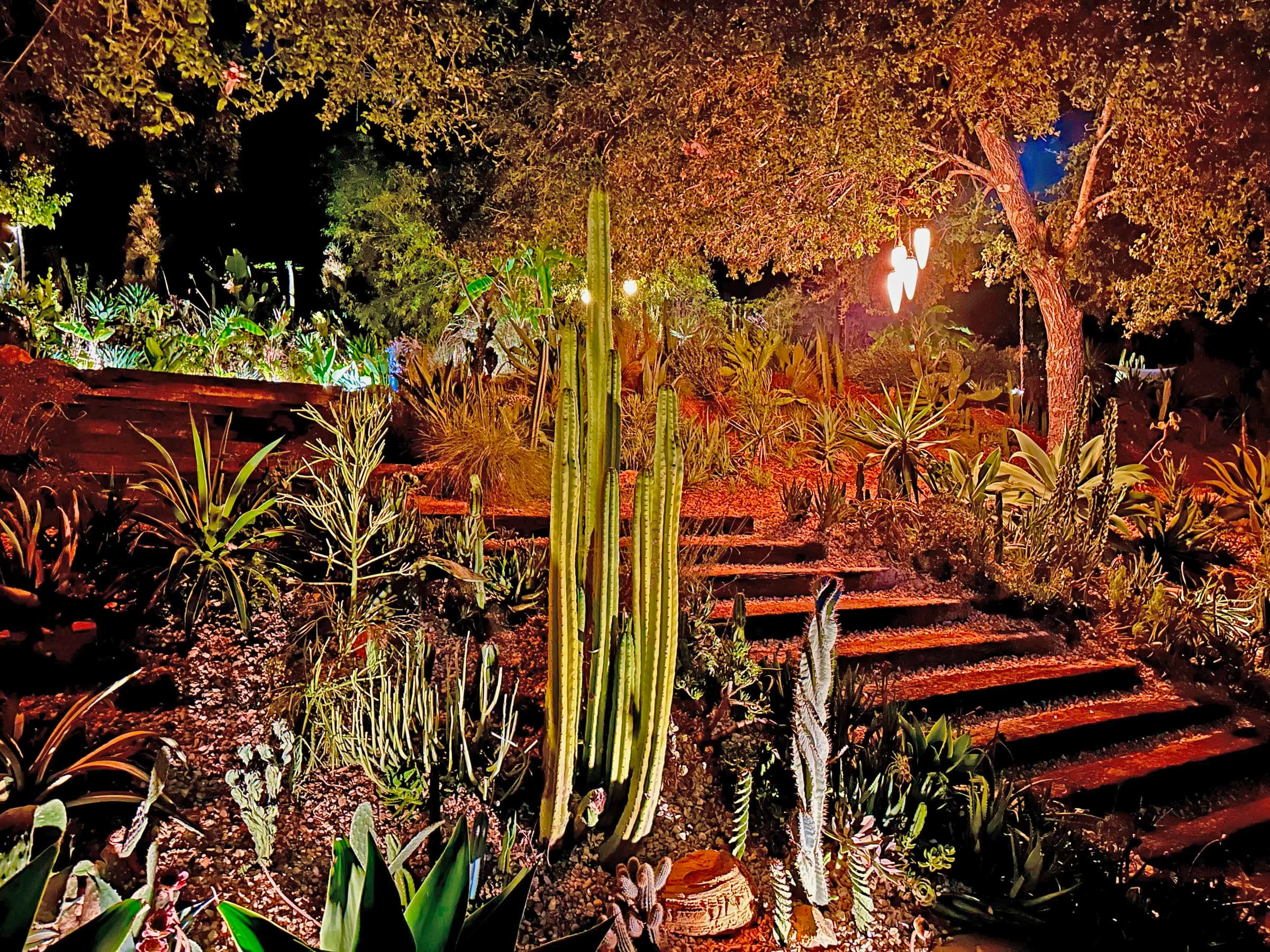 Night-lit cactus garden with glowing torches and amber landscape lighting